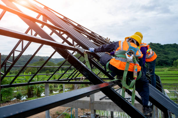 Best Flat Roof Repair Services  in Beale Af, CA